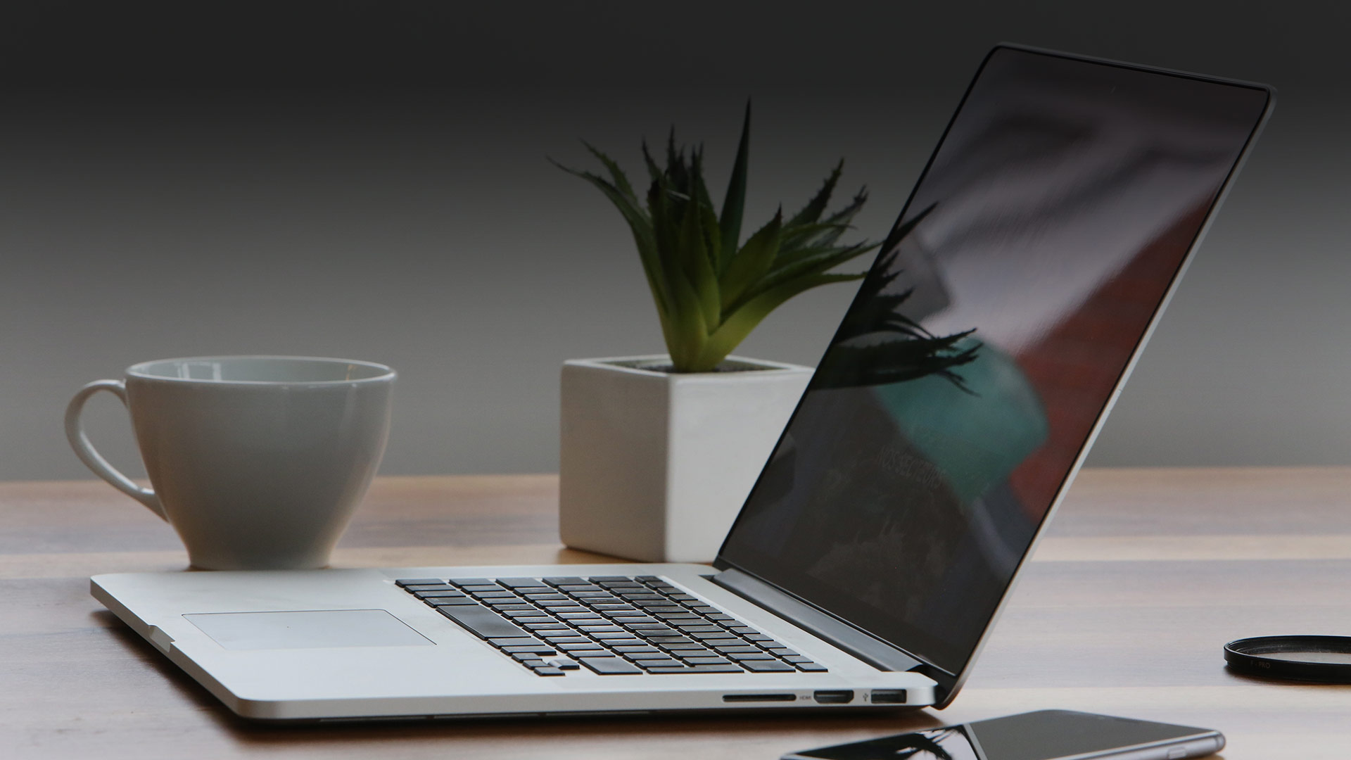Web development services