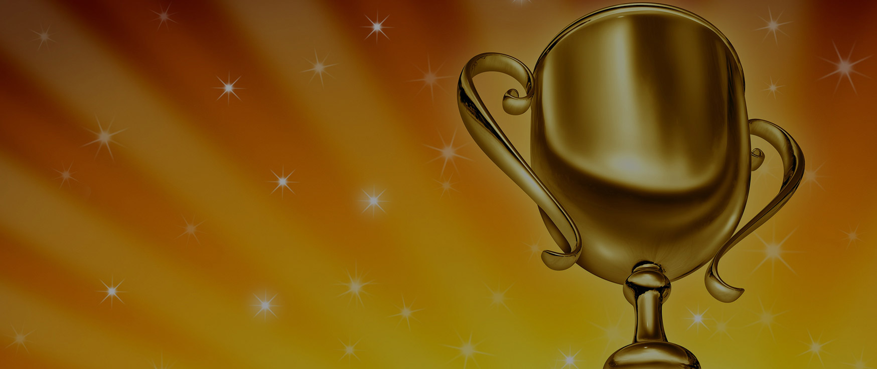 Program-Ace Is Named an “Area Leader 2010”