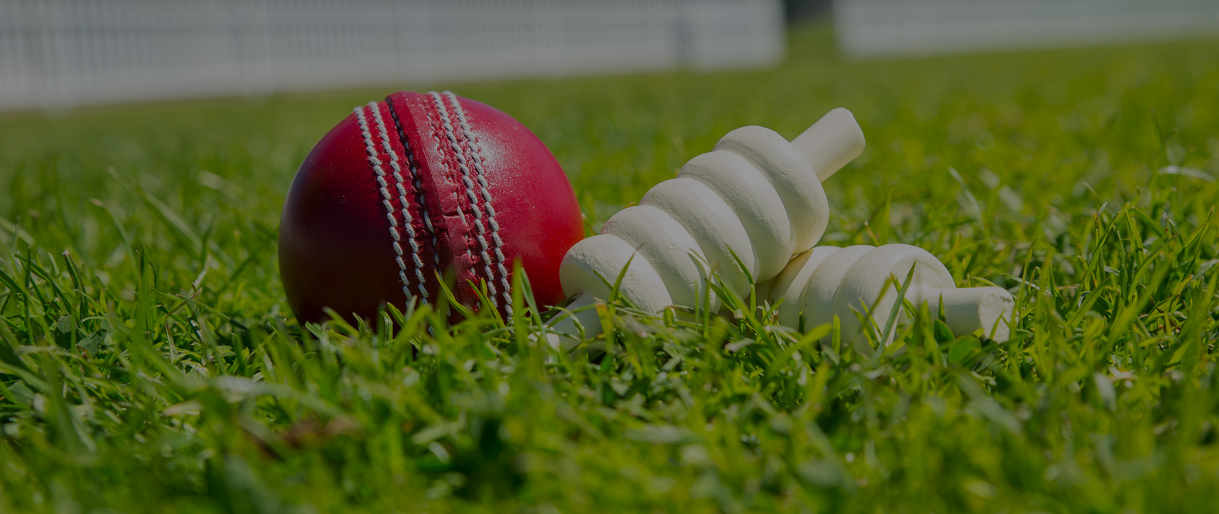 Program-Ace Releases Cricket Manager, a Sports Simulation Game