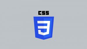 CSS today