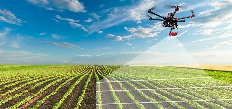 Computer vision in agriculture, agtech