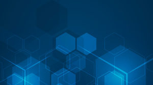 IT consulting and system integration