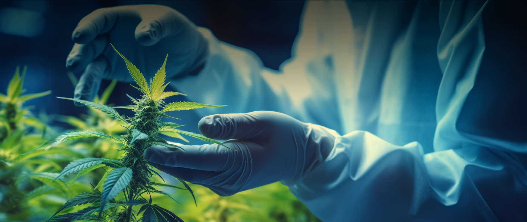 Leveraging the Metaverse: New Horizons for Cannabis Companies