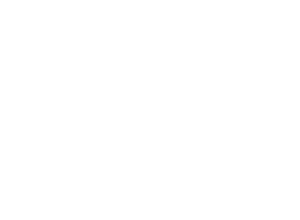 Technology council badge program ace 2025