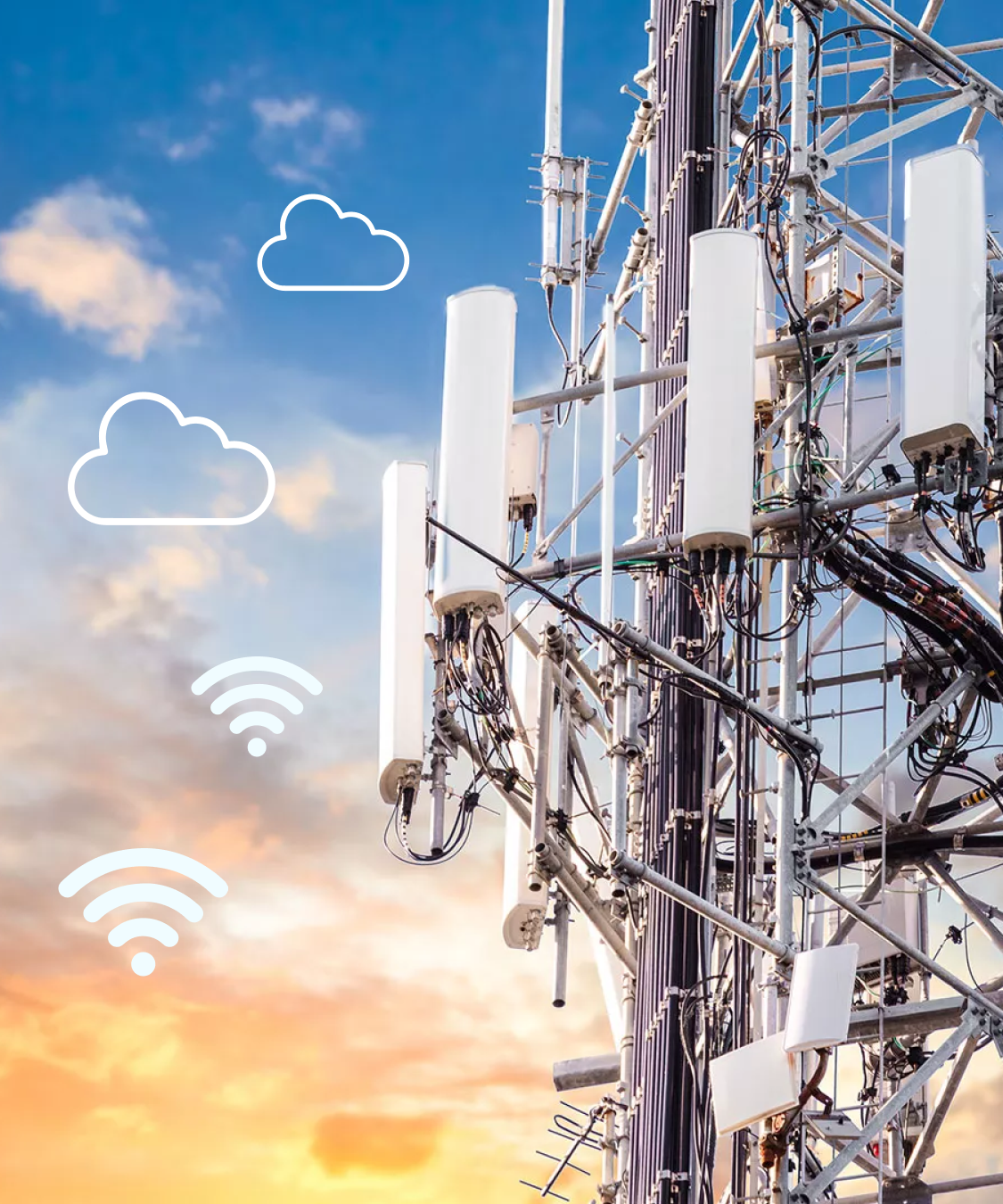 Telecom Software Solutions Program Ace