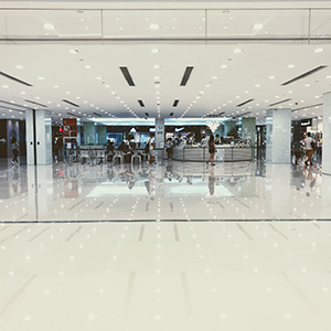 virtual shopping mall