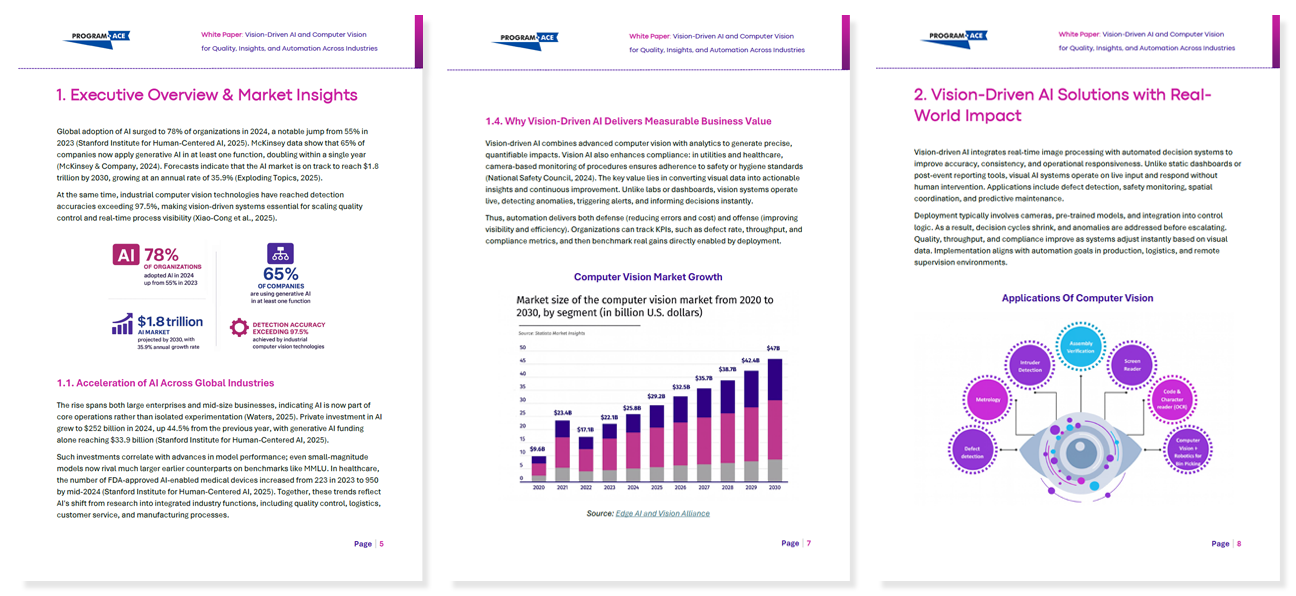 White paper Vision-Driven AI and Computer Vision pages